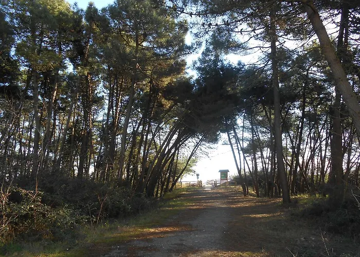 公寓式酒店 Marina 马里纳－迪拉文纳