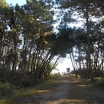 Ξενοδοχείο με διαμερίσματα Marina Marina di Ravenna