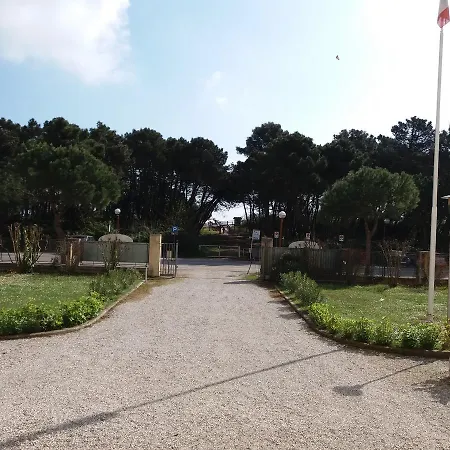 Marina مارينا دي رافينا